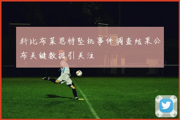 科比布莱恩特坠机事件调查结果公布关键数据引关注