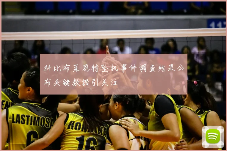 科比布莱恩特坠机事件调查结果公布关键数据引关注